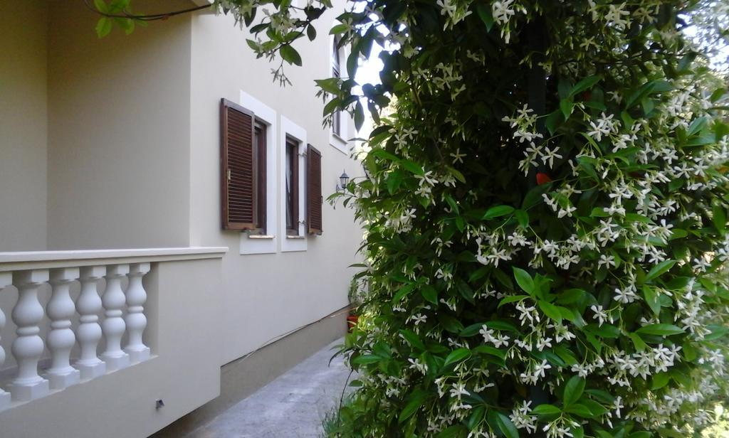 Apartments Rozelyn Ugljan Oda fotoğraf